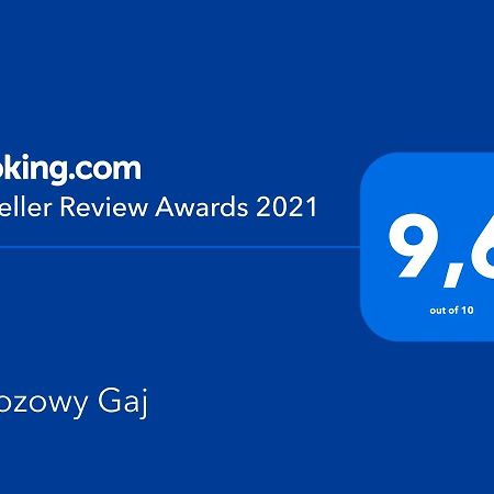 Brzozowy Gaj Bed & Breakfast Glowczyce Ngoại thất bức ảnh