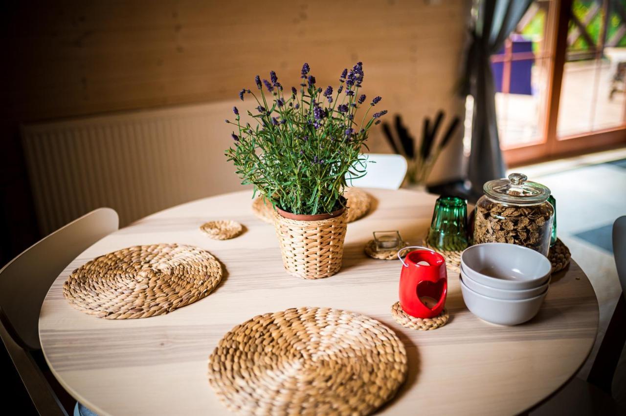 Brzozowy Gaj Bed & Breakfast Glowczyce Ngoại thất bức ảnh