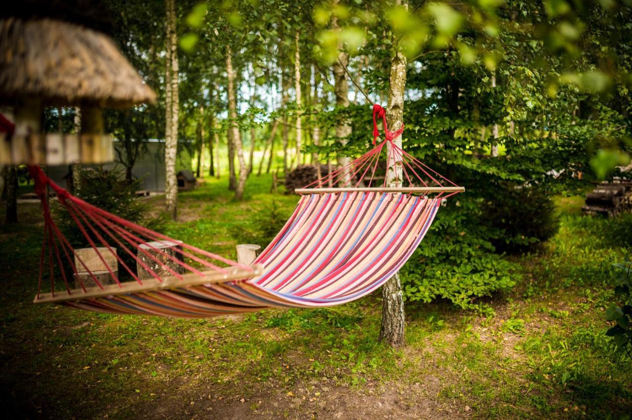 Brzozowy Gaj Bed & Breakfast Glowczyce Ngoại thất bức ảnh